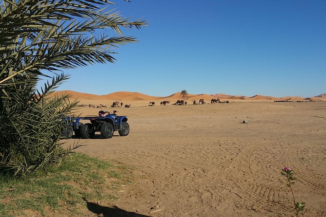 Quad Biking in Merzouga Dunes Desert Erg Chebbi - Directions