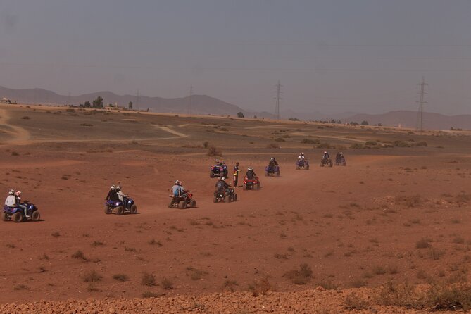 Quad Experience in Marrakech Palmeraie and Desert - Customer Feedback and Reviews