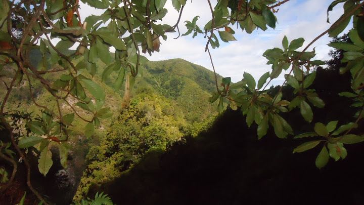 Queimadas Natural Park 5-Hour Guided Hike - Live Tour Guides