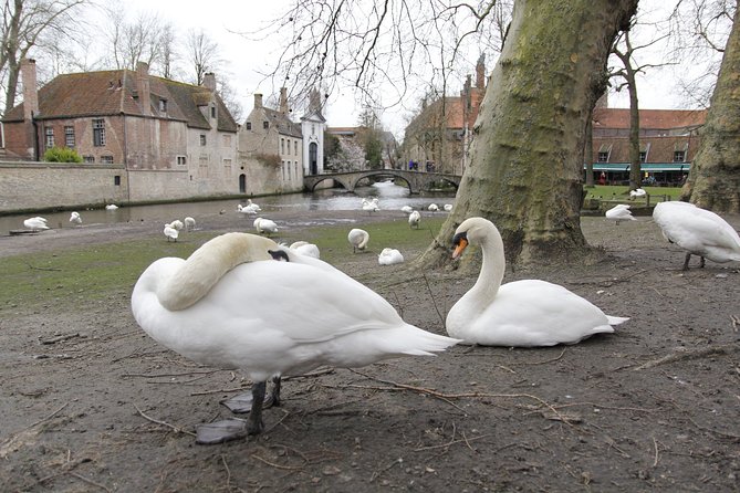 QuizQuest: A Trivia Tour of Bruges (Private Tour) - Review Rating and Authenticity