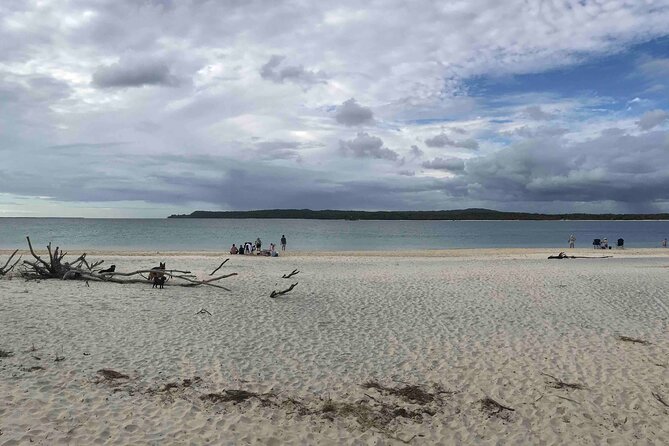 Rainbow Beach Tour With Lunch, Carlo Sandblow, and Cooloola - Experience Highlights