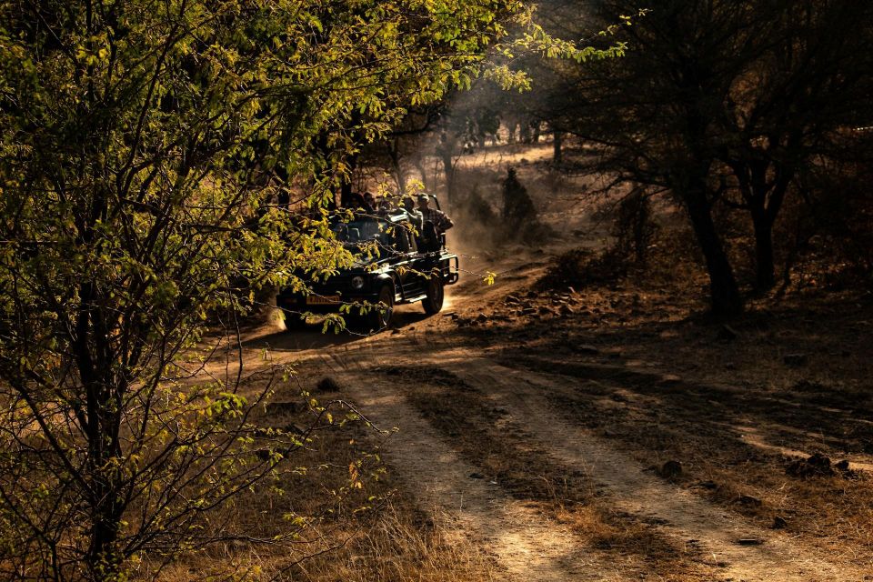 Ranthambore Safari by Canter ( 20 Seater Bus) - Unique Wildlife Viewing Experience