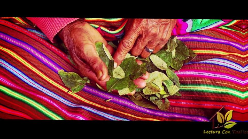 Reading Your Future in Coca Leaves in Spanish - Last Words