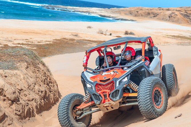 Real Baja Tour Aboard an Off-Road RZR in Los Cabos  - Cabo San Lucas - Viator Information and Terms