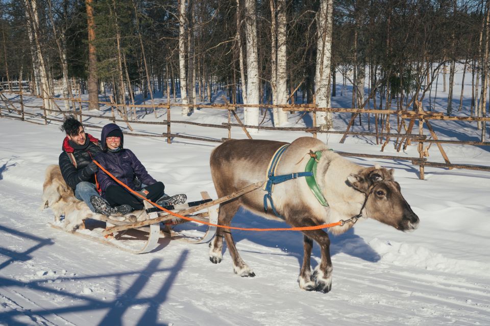 Reindeer Farm Visit With Professional Photographer - How to Capture Unforgettable Memories