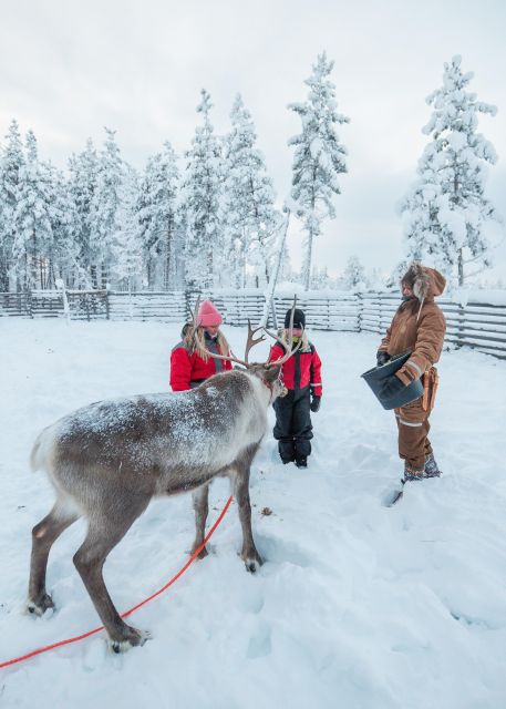 Reindeer Safari and Visit to Reindeer Farm - Directions for Visitors