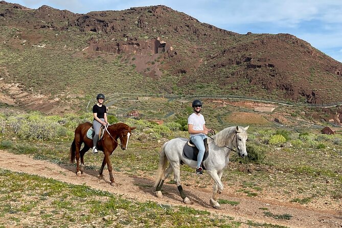 Relaxing Horse Riding Tour in Gran Canaria - Common questions