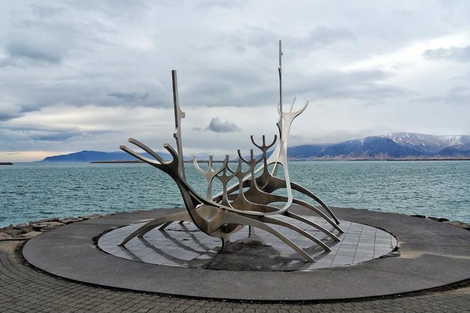 Reykjavik Excursion & Blue Lagoon. Private Day Tour - Terms and Conditions