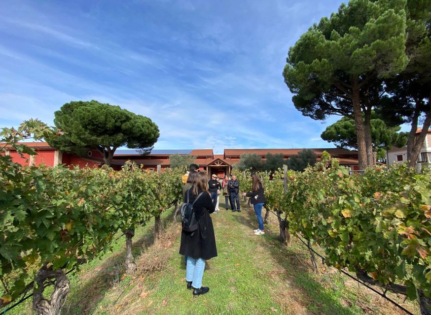 Ribera Del Duero Tour: Full Day Wine Tour From Madrid - Common questions