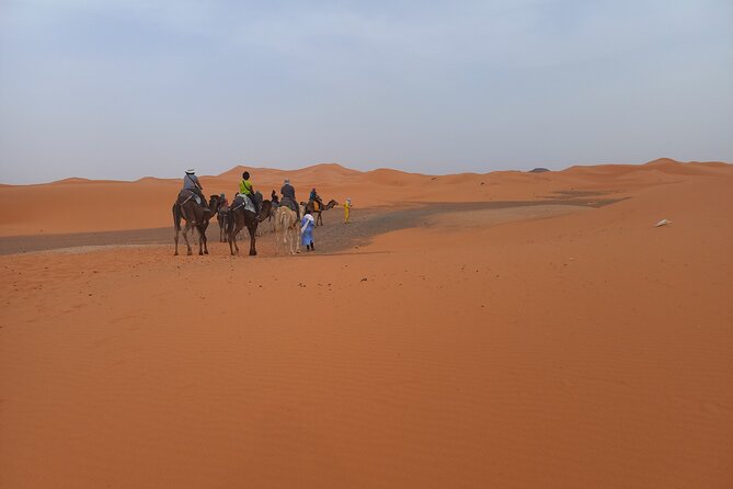 Ride the Camels for Sunset in Merzouga Dunes - Last Words