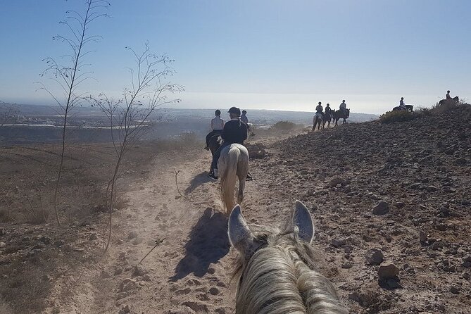 Riding 2 Hours Along the Maspalomas Route - Last Words