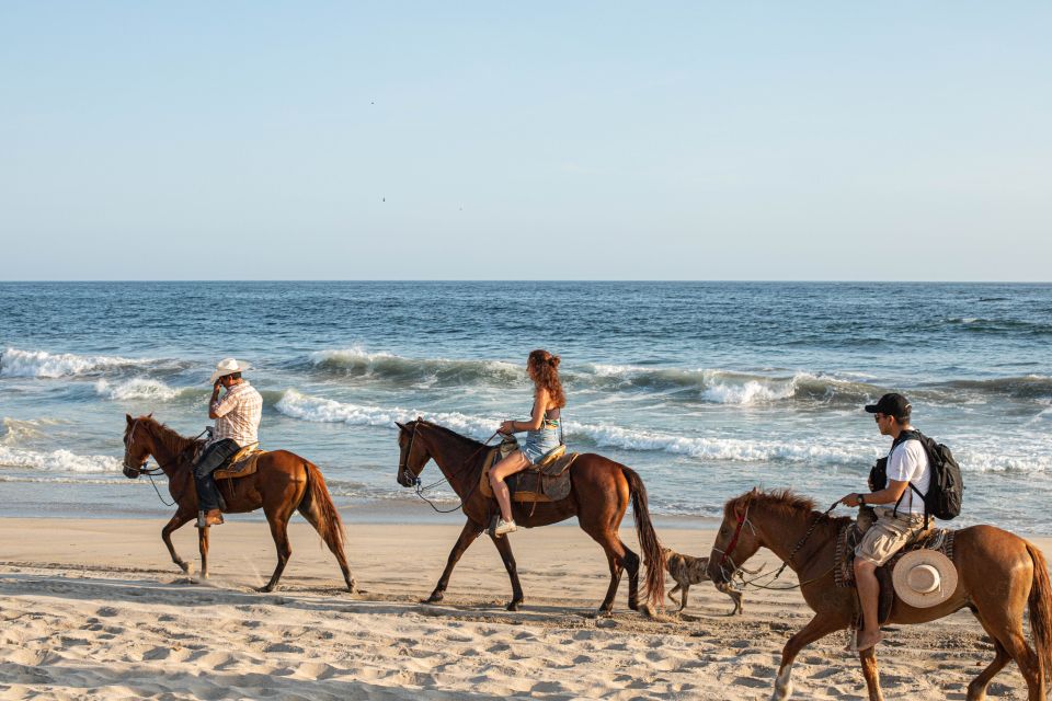 River, Ocean & Sunset Horse Riding Tour - Location Details
