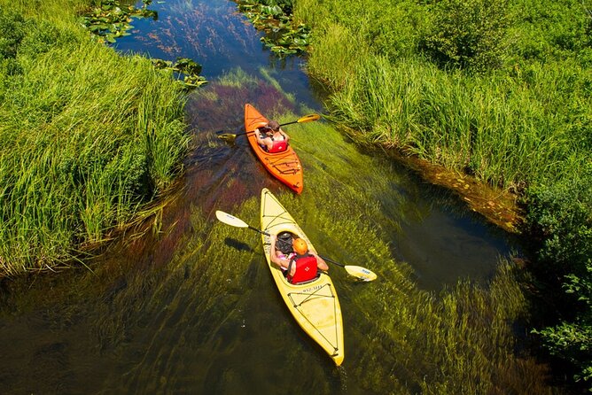 River of Golden Dreams Canoe and Kayak Self Guided Excursion - Lunch Details