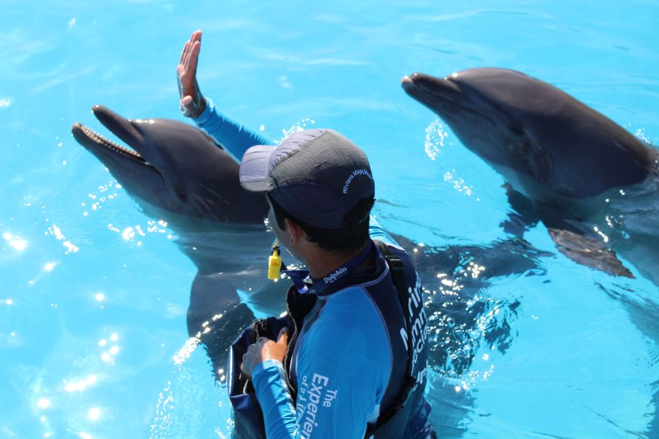 Riviera Maya: Dolphin Encounter With Beach Club Access - Enjoyable Lunch Options