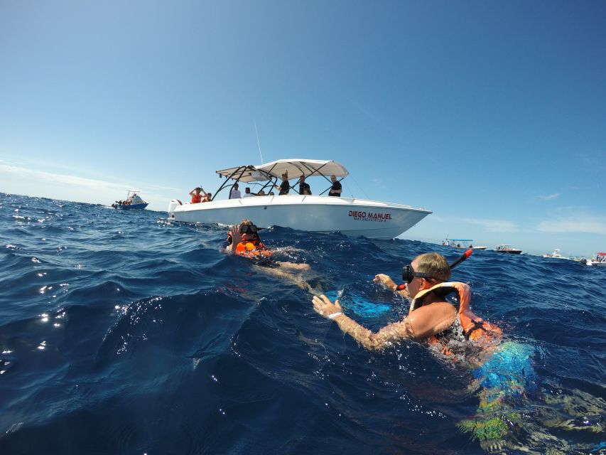 Riviera Maya: Full-Day Whale Shark Encounter - Snorkeling in Crystal Clear Waters