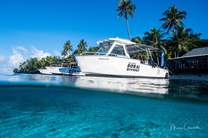 Romantic Dive for Beginners in Bora Bora (2 People) With Video - Weather Contingency