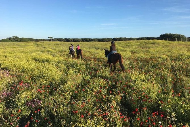 Rome Private Half-Day Beach Horseback Ride - Common questions