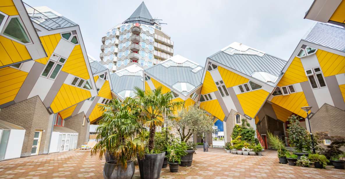 Rotterdam: Private Architecture Tour With a Local Expert - Tour Highlights