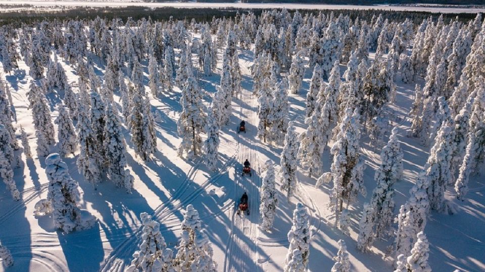 Rovaniemi: Arctic Circle Family-Friendly Snowmobile Tour - Last Words