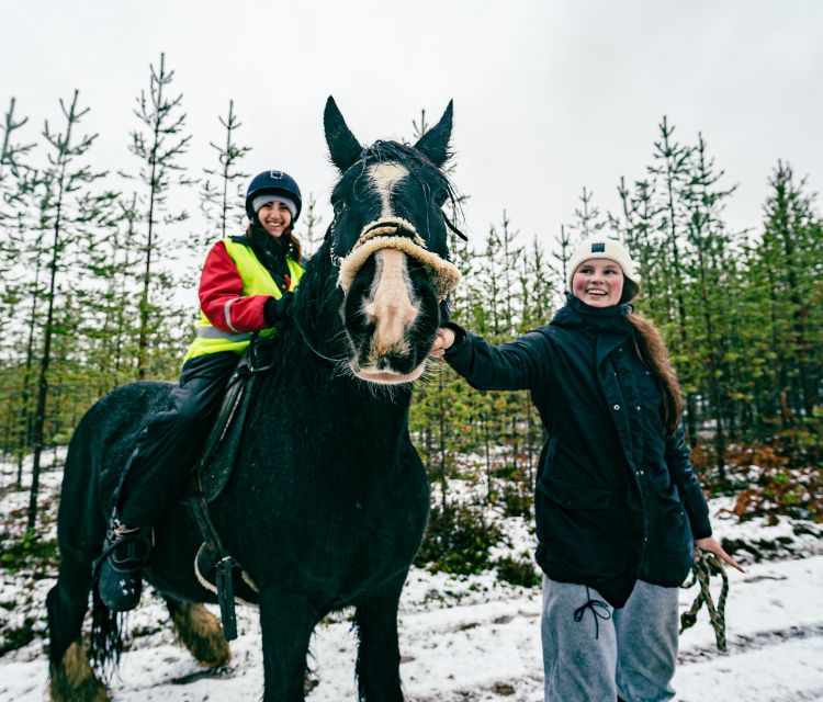 Rovaniemi: Arctic Horse Riding Experience - Safety and Requirements