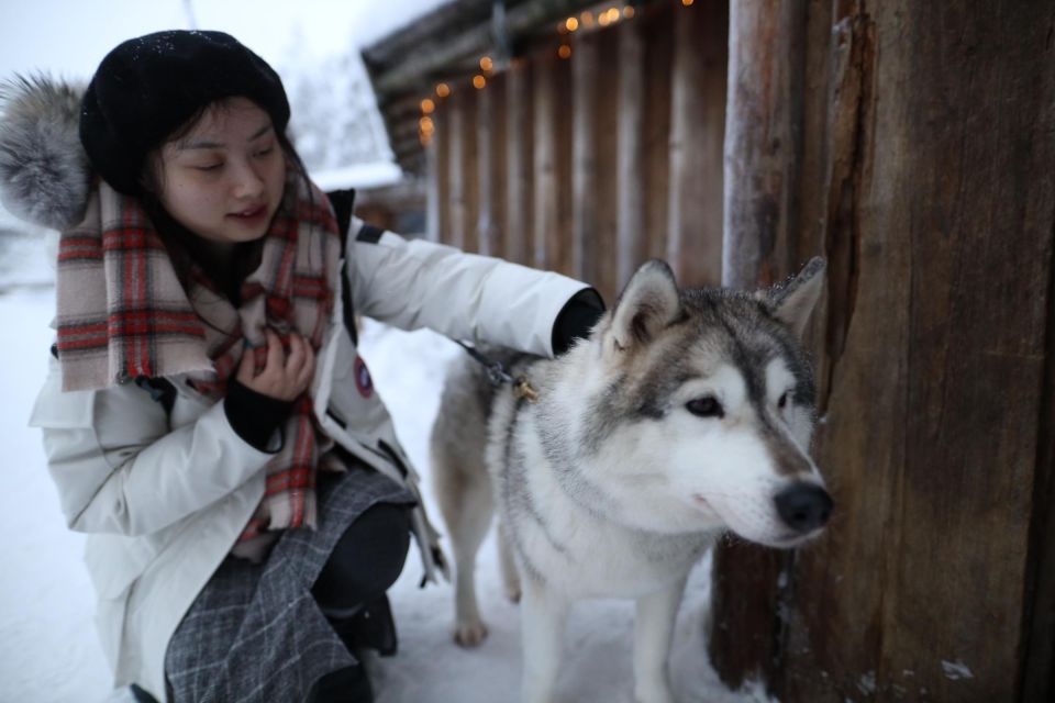 Rovaniemi: Husky and Reindeer Farm Visit With Sleigh Rides - Last Words