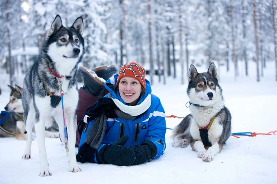 Rovaniemi: Husky Safari on a Snowy Trail - Directions