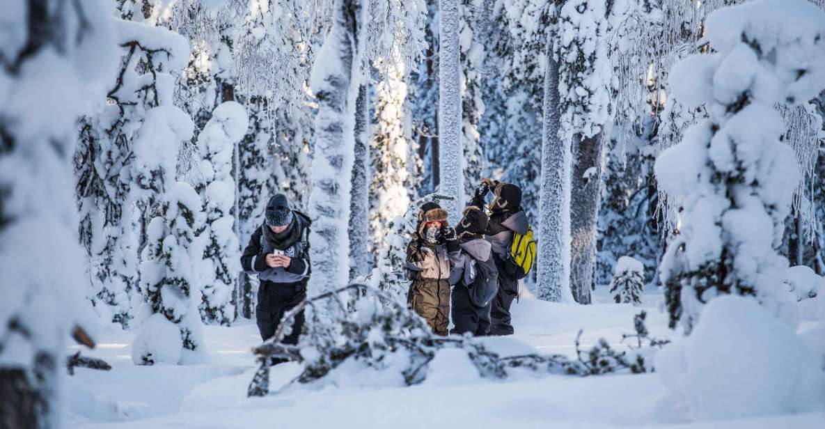 Rovaniemi: Nordic Forest Wilderness Adventure - Additional Information