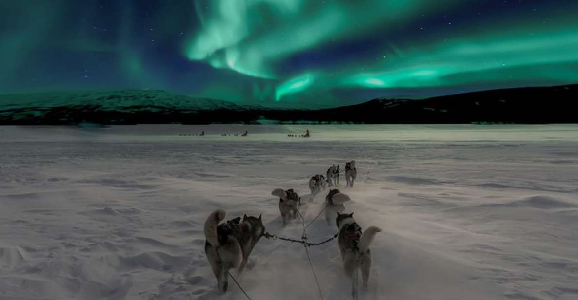 Rovaniemi: Northern Lights and Husky Sleigh Ride - Practical Information for Travelers