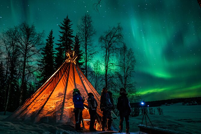 Rovaniemi Northern Lights Photography Small-Group Tour - Tour Experience Insights