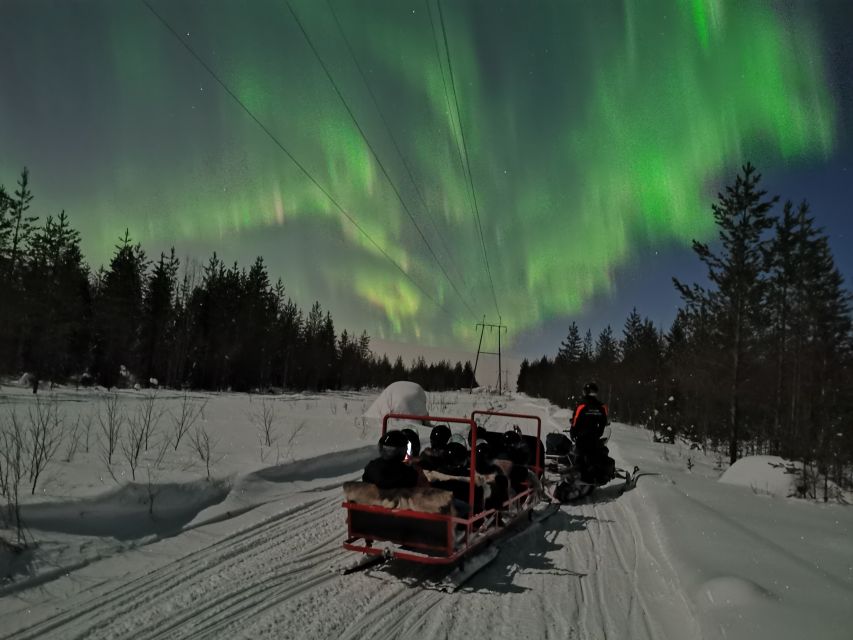 Rovaniemi: Northern Lights Sledge Ride - Last Words