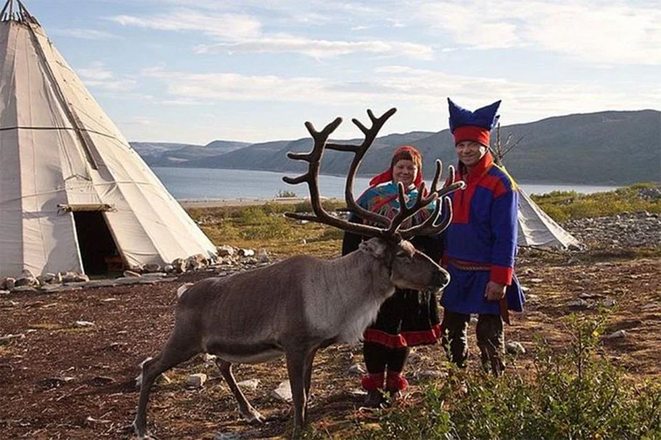 Rovaniemi: Reindeer Farm Visit in the Summer - Additional Information