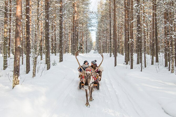 Rovaniemi Reindeer Sleigh Adventure - Last Words