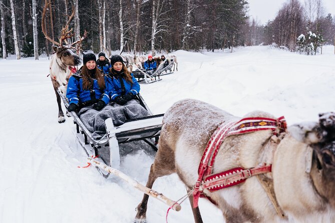 Rovaniemi Reindeer Sleigh Ride (Mar ) - Activity Directions