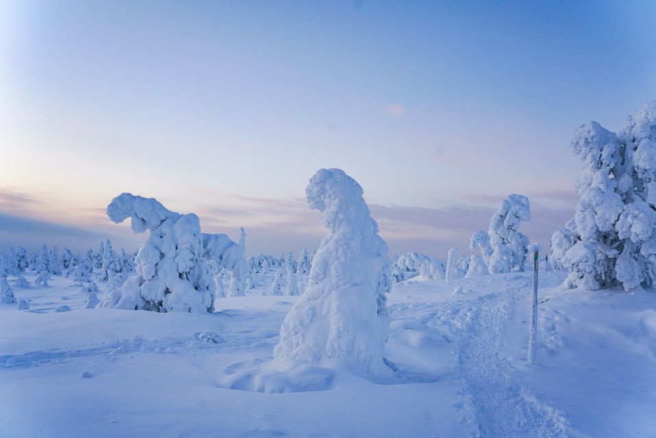 Rovaniemi: Riisitunturi National Park Day Trip With Lunch - Customer Reviews