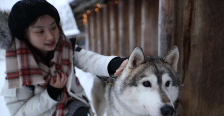 Rovaniemi: Santa Claus Village Tour Huskies & Reindeer Visit