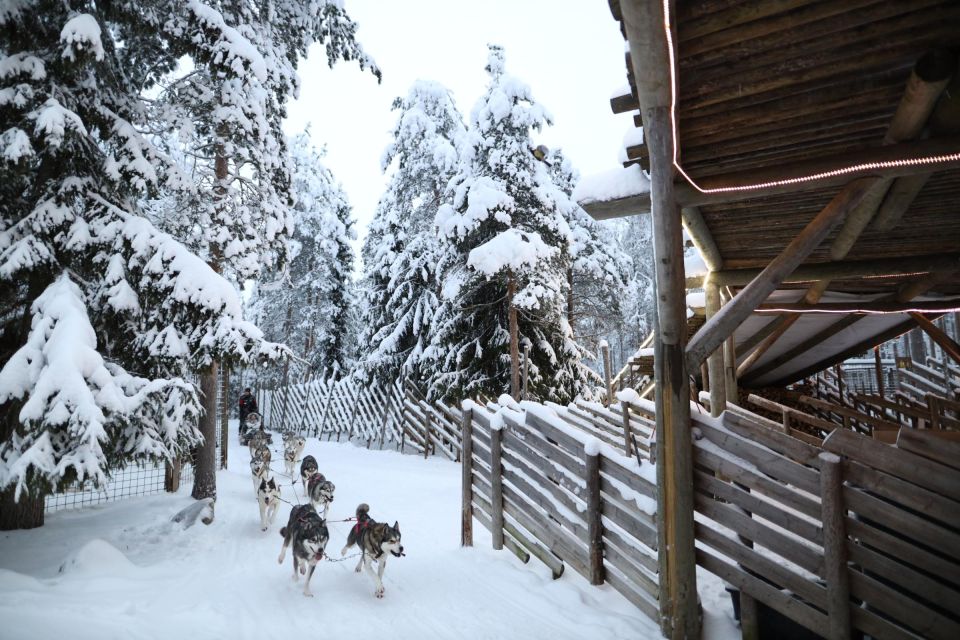 Rovaniemi: Santa Claus Village Tour & Reindeer & Husky Ride - Last Words