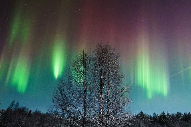 Rovaniemi Small Group Northern Lights Hunt With Photographs - Northern Lights Hunt Experience