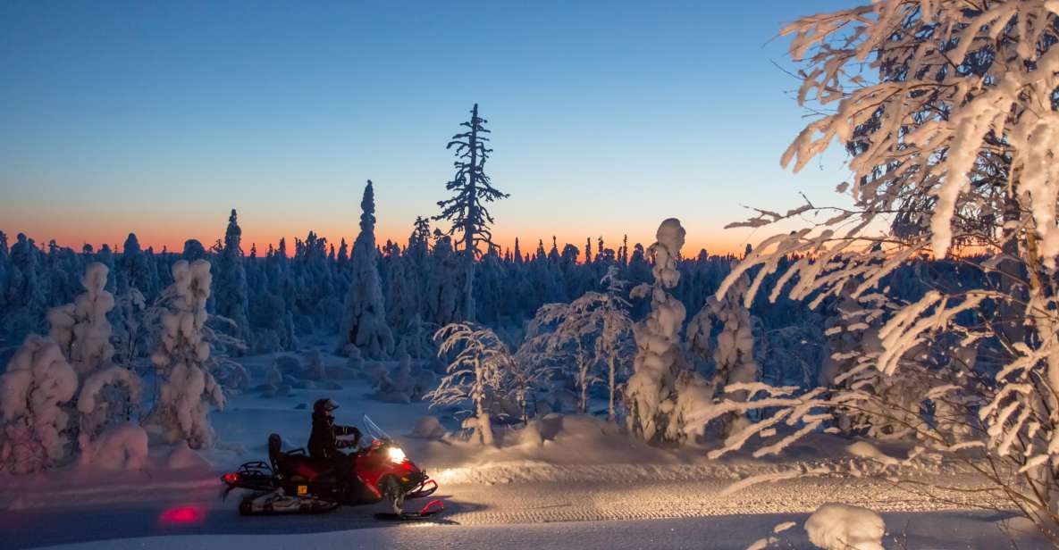 Rovaniemi: Snowmobile Safari & Campfire Evening Escape - Last Words