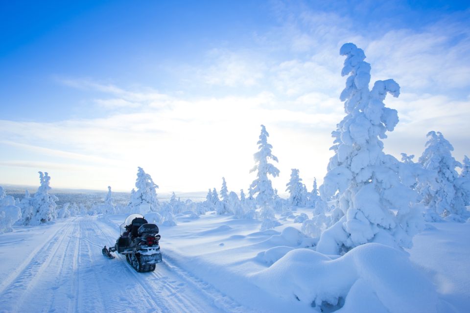 Rovaniemi: Snowmobile Safari in the Arctic Circle - Safety Measures and Guidelines