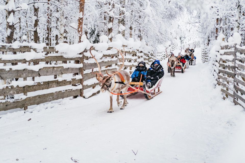 Rovaniemi: Snowmobile Safari, Reindeer & Husky Sleigh Ride - Directions for Snowmobile Safari