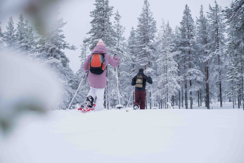 Rovaniemi: Snowshoe Wilderness Adventure - Snowshoeing in Arctic Wilderness