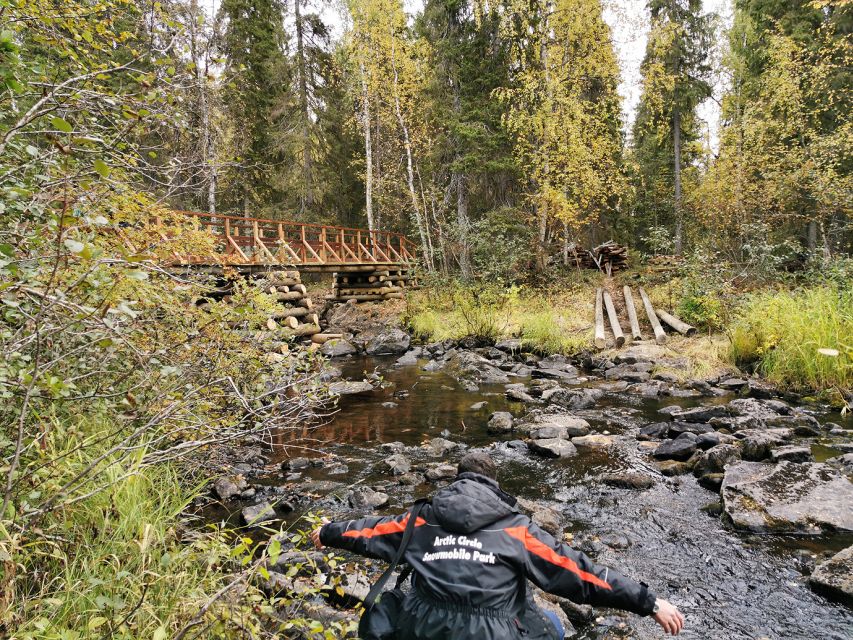 Rovaniemi: Vaattunki Hiking Arctic Circle Trail - Wildlife and Nature