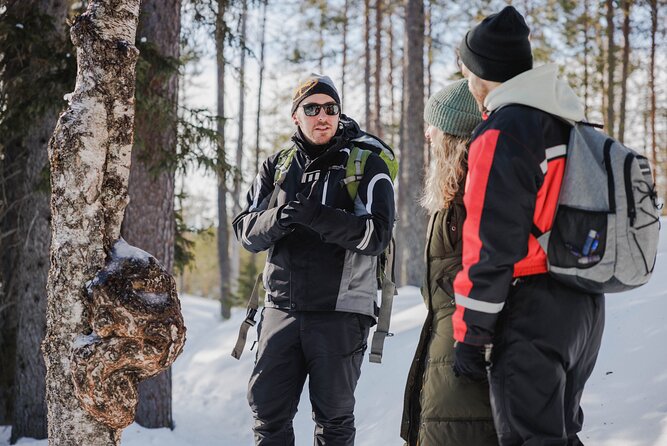 Rovaniemi - Visit to The Frozen Waterfalls of Korouoma - Traveler Reviews