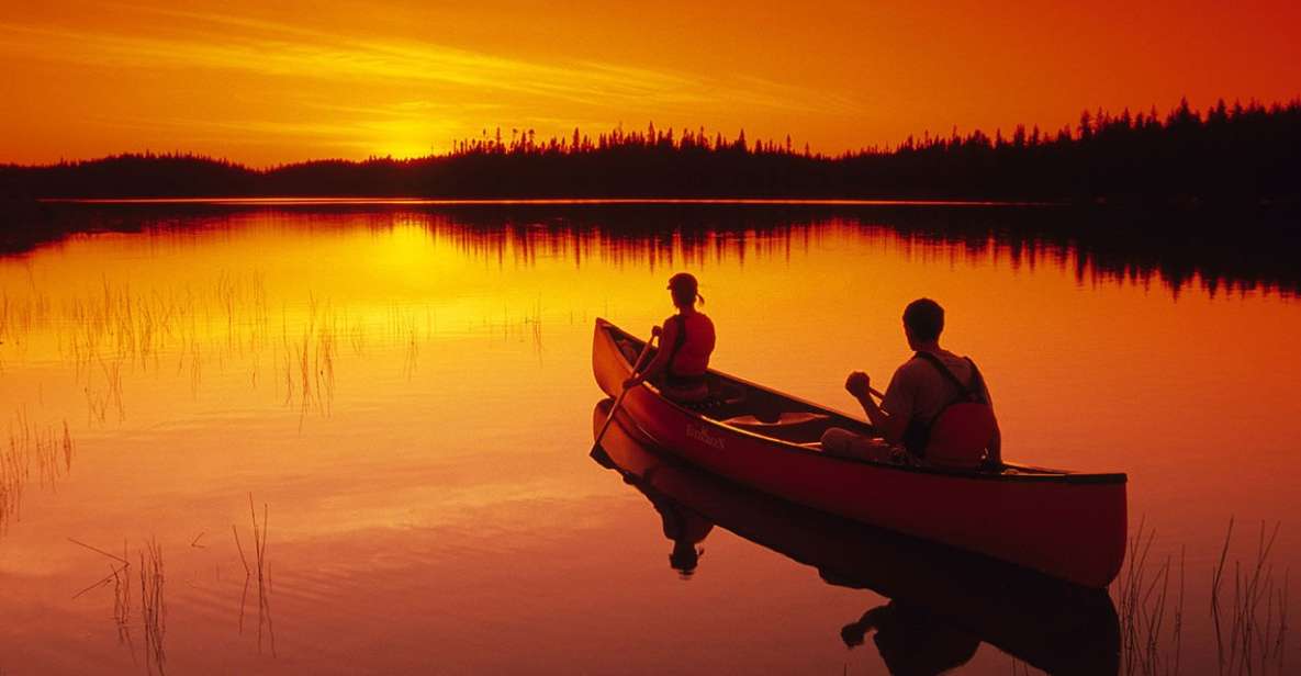 Rovaniemi: Wilderness Kayaking Adventure Trip With Hot Drink - Hot Drink Experience