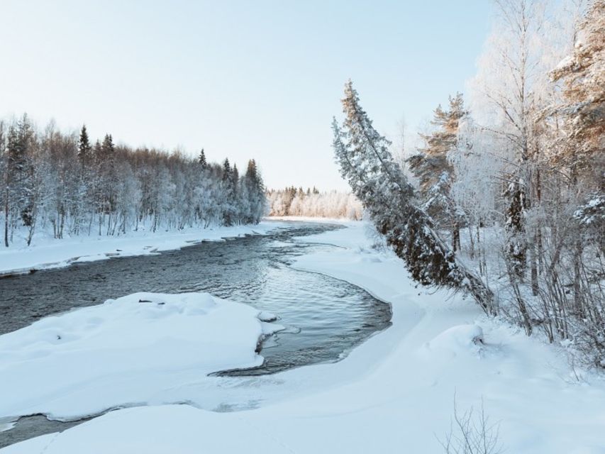 Rovaniemi: Winter Wonderland Vikaköngäs Hike & Barbeque - Booking Process