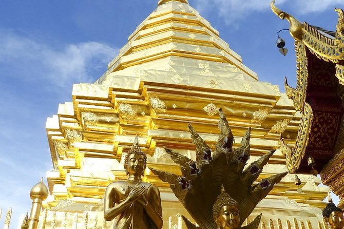 Royal Residence & Wat Phrathat Doi Suthep Half Day Tour From Chiang Mai - Customer Experience