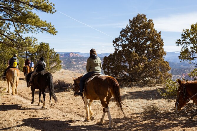 Rubys Horseback Adventures Utah 1.5 Hour Ride - Last Words