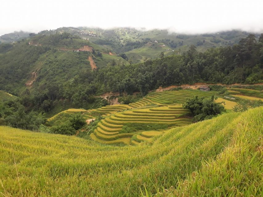 Sa Pa: Muong Hoa Valley Trek and Local Ethnic Villages Tour - Moderate Fitness Level Required