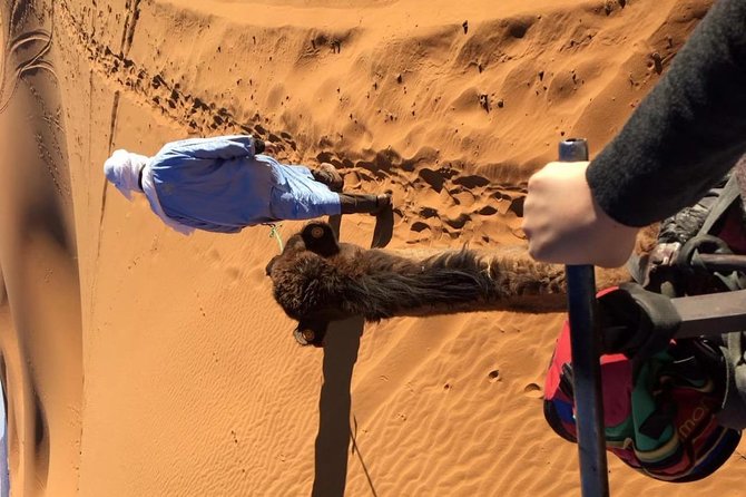 Sahara Desert 3 Days Trip From Marrakech to Fez - Pricing and Booking Details