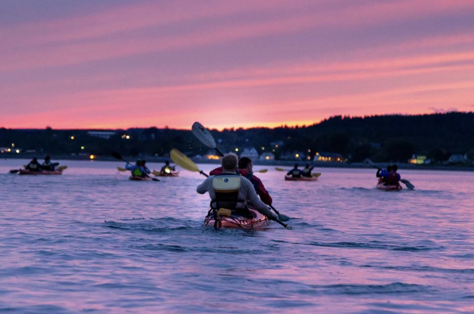 Saint John: Bay of Fundy Guided Kayaking Tour With Snack - Common questions